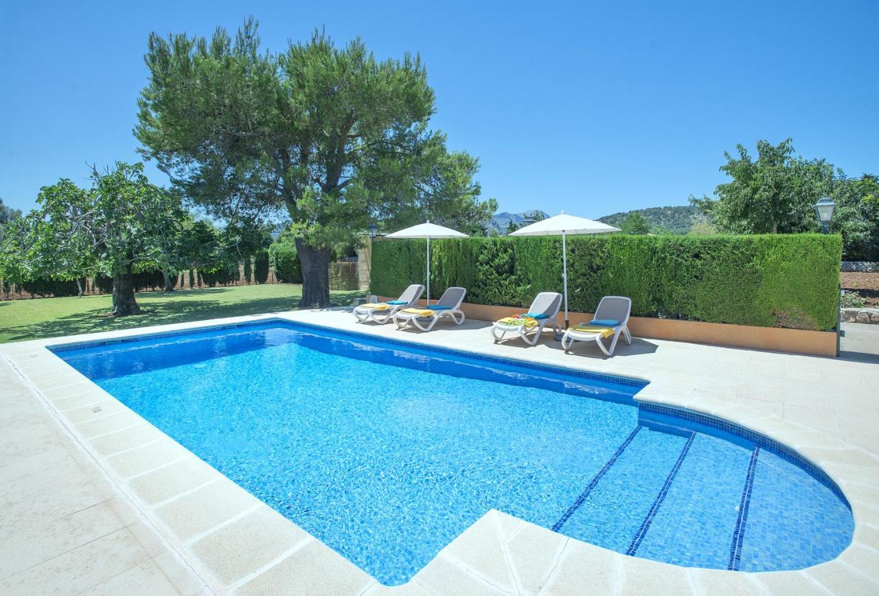Owl Marvil - Exclusive Holidays Villa Pollensa