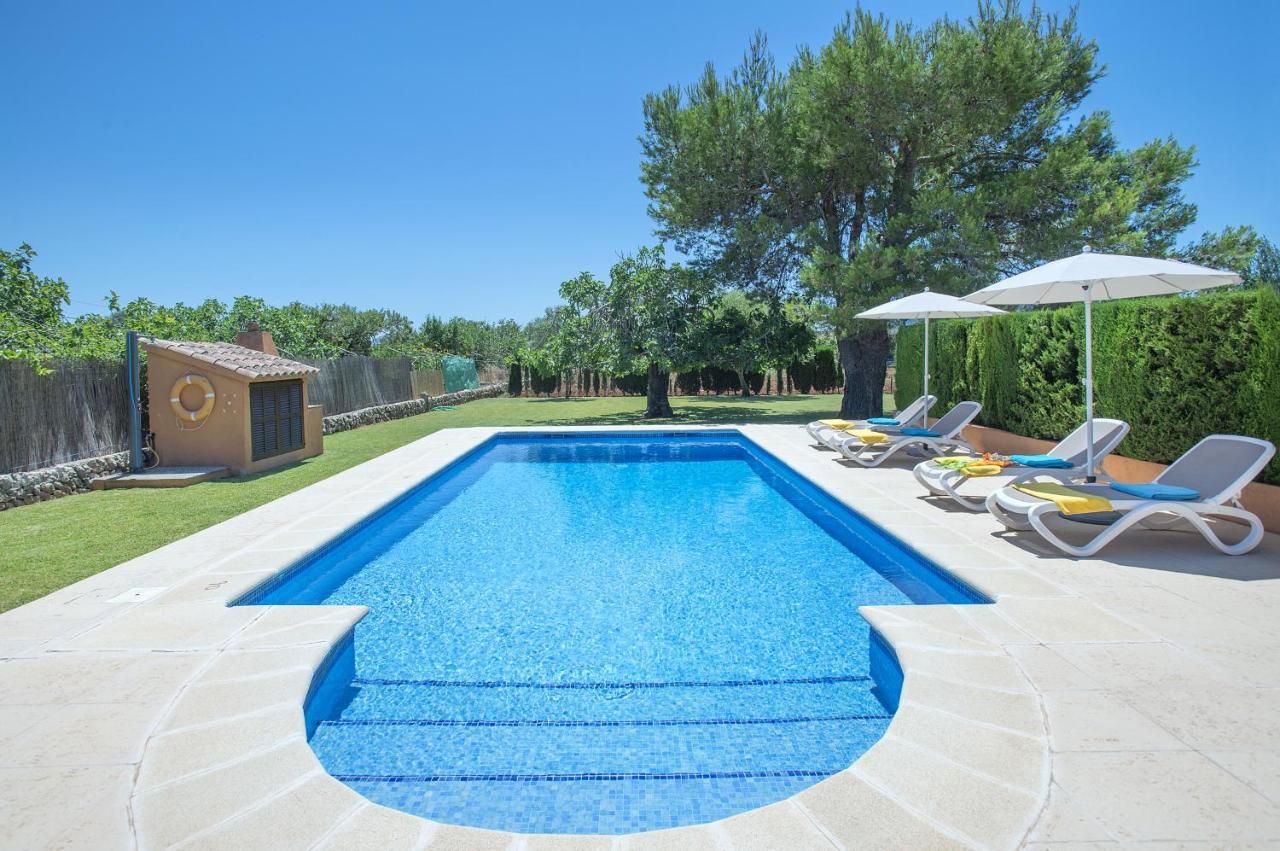 Owl Marvil - Exclusive Holidays * Pollenca