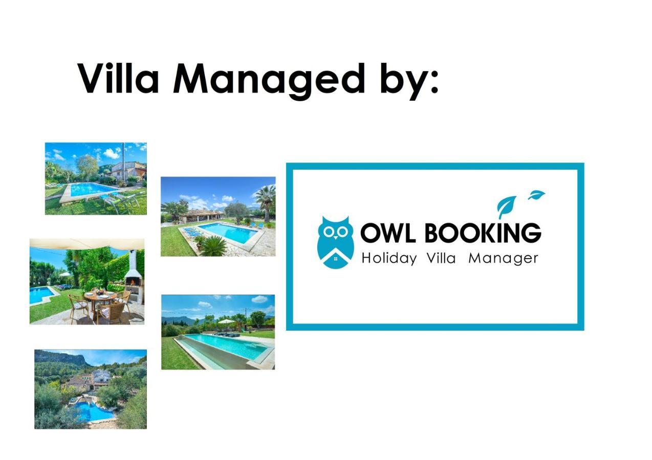 Owl Marvil - Exclusive Holidays Villa Pollenca